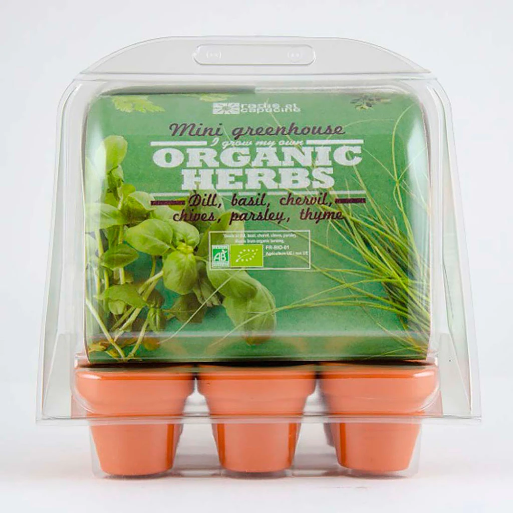 Radis Et Capucine Mini Serre 6 Pots Pet Aromatique Bio 5 Radis Et Capucine Mini Serre 6 Pots Pet Aromatique Bio – Image 5