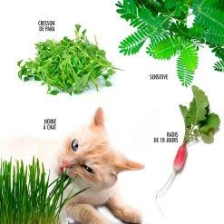 Radis Et Capucine Coffret 52 Sachets De Graines - Legumes -SEMA DESIGN Boutique 621629 FRN06 WEB