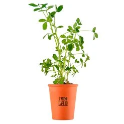 Radis Et Capucine Kit Message J'amène L'apéro - Cacahuètes -SEMA DESIGN Boutique 621631 FRN05 WEB