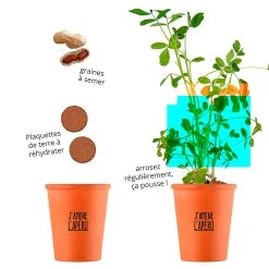 Radis Et Capucine Kit Message J'amène L'apéro - Cacahuètes -SEMA DESIGN Boutique 621631 FRN06 WEB