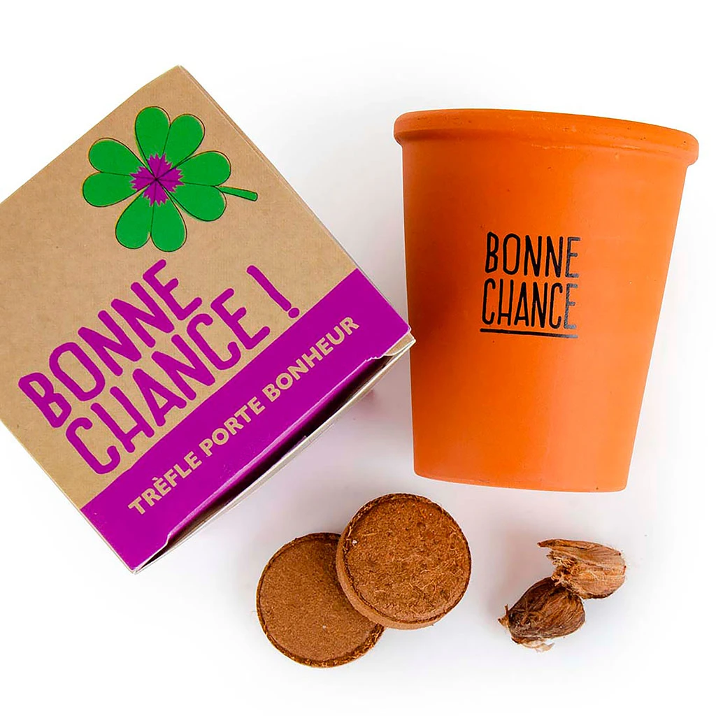 Radis Et Capucine Kit Message Bonne Chance - Trèfle à 4 Feuilles 5 Radis Et Capucine Kit Message Bonne Chance - Trèfle à 4 Feuilles – Image 5