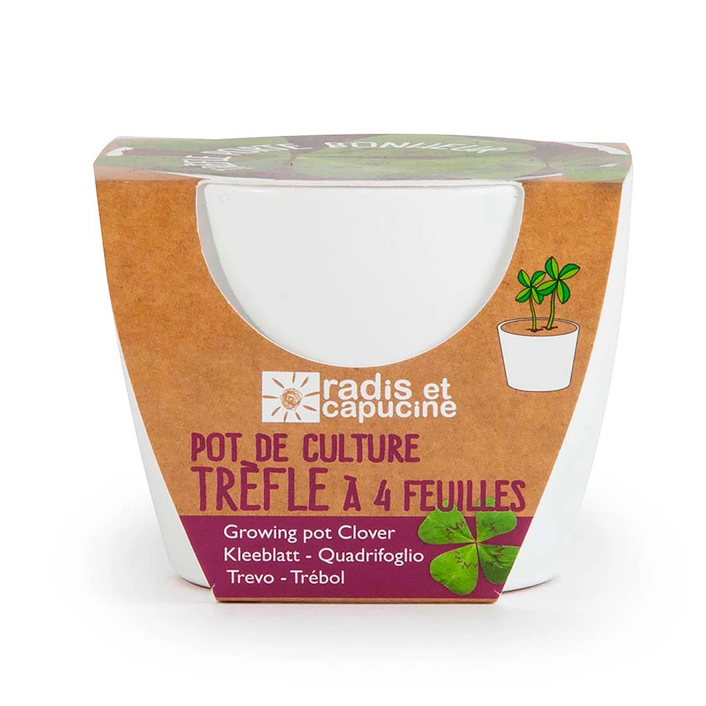 Radis Et Capucine Pot Blanc D8cm Trèfle 1 Radis Et Capucine Pot Blanc D8cm Trèfle