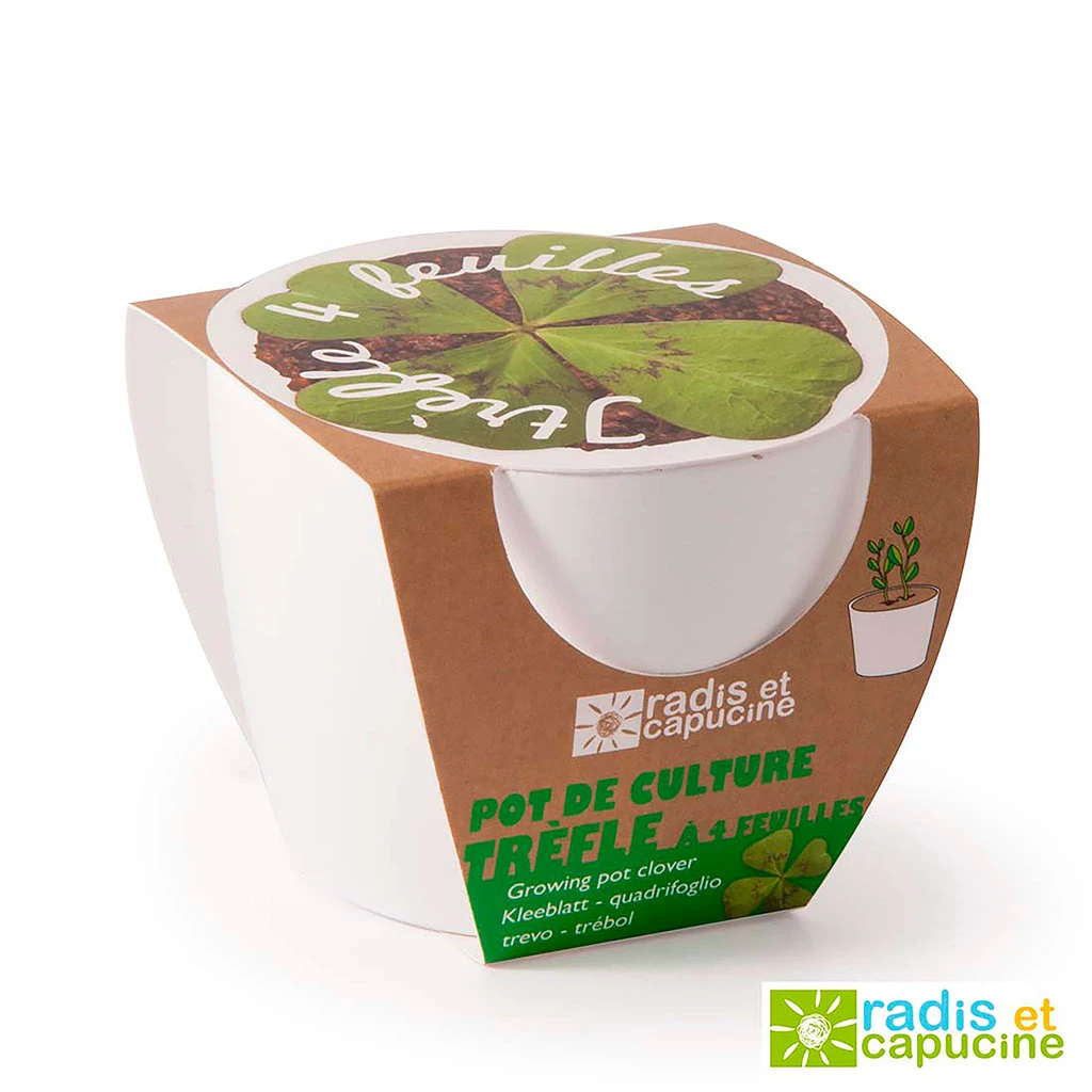 Radis Et Capucine Pot Blanc D8cm Trèfle 5 Radis Et Capucine Pot Blanc D8cm Trèfle – Image 5