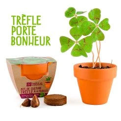 Radis Et Capucine Mini Kit D6cm Terre Cuite Trèfle 4 Feuilles -SEMA DESIGN Boutique 621641 FRN03 WEB