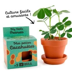 Radis Et Capucine Pot D8cm Avec Coupelle Cacahuète -SEMA DESIGN Boutique 621644 FRN02 WEB