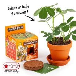 Radis Et Capucine Pot D8cm Avec Coupelle Cacahuète -SEMA DESIGN Boutique 621644 FRN03 WEB