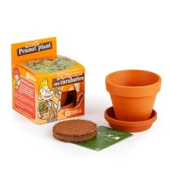 Radis Et Capucine Pot D8cm Avec Coupelle Cacahuète -SEMA DESIGN Boutique 621644 FRN05 WEB