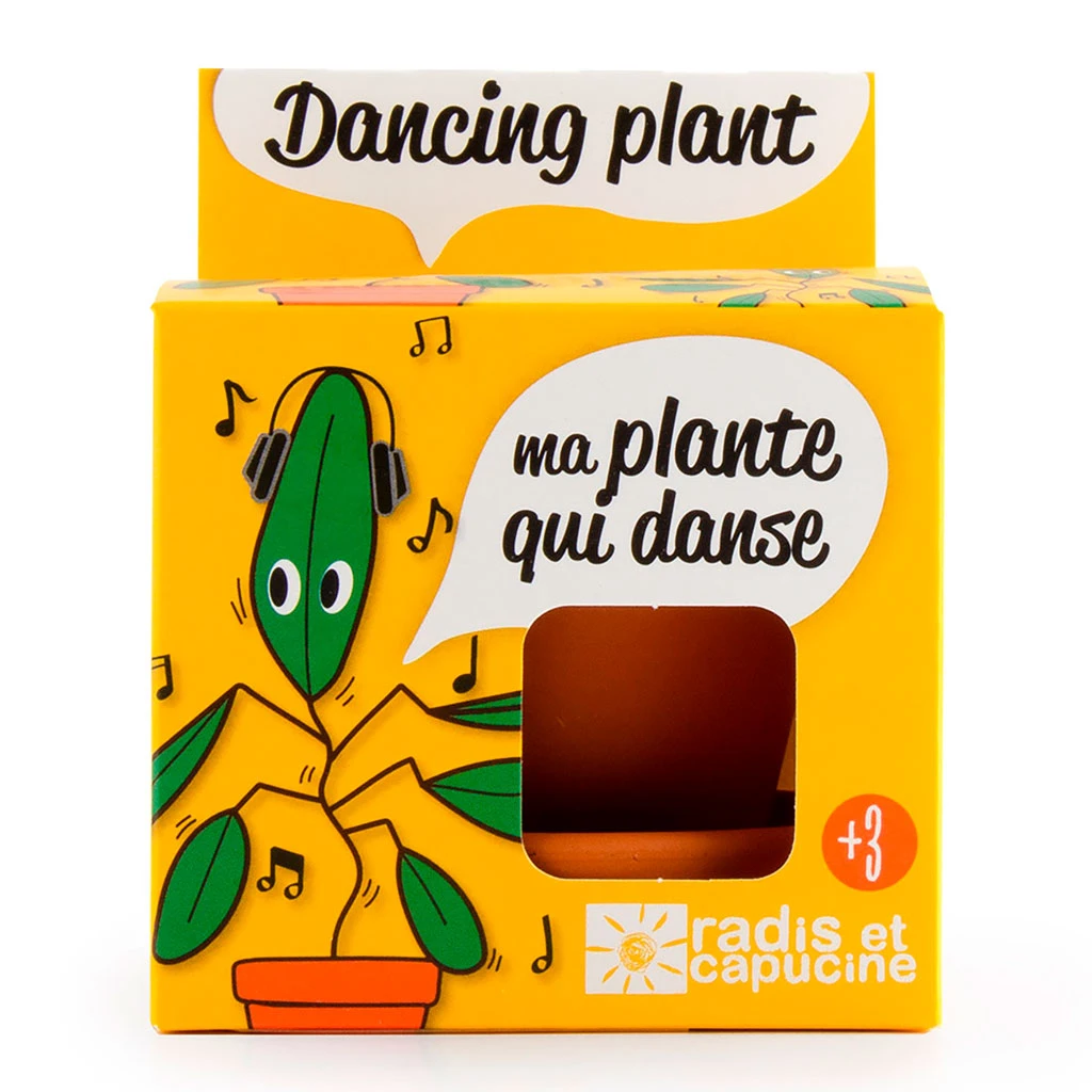 Radis Et Capucine Pot D8cm Avec Coupelle Plante Qui Danse 1 Radis Et Capucine Pot D8cm Avec Coupelle Plante Qui Danse