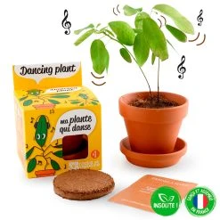 Radis Et Capucine Pot D8cm Avec Coupelle Plante Qui Danse 9 Radis Et Capucine Pot D8cm Avec Coupelle Plante Qui Danse -SEMA DESIGN Boutique 621645 FRN03 WEB