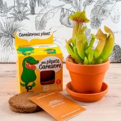 Radis Et Capucine Pot D8cm Avec Coupelle Plantes Carnivores 9 Radis Et Capucine Pot D8cm Avec Coupelle Plantes Carnivores -SEMA DESIGN Boutique 621646 FRN02 WEB