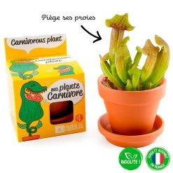 Radis Et Capucine Pot D8cm Avec Coupelle Plantes Carnivores 10 Radis Et Capucine Pot D8cm Avec Coupelle Plantes Carnivores -SEMA DESIGN Boutique 621646 FRN03 WEB