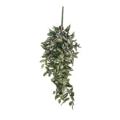 Mica Décorations Tradescantia Chute Vert H15cm
