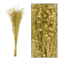 Dijk Tige De Lin Dore 55.5x26x7.5cm