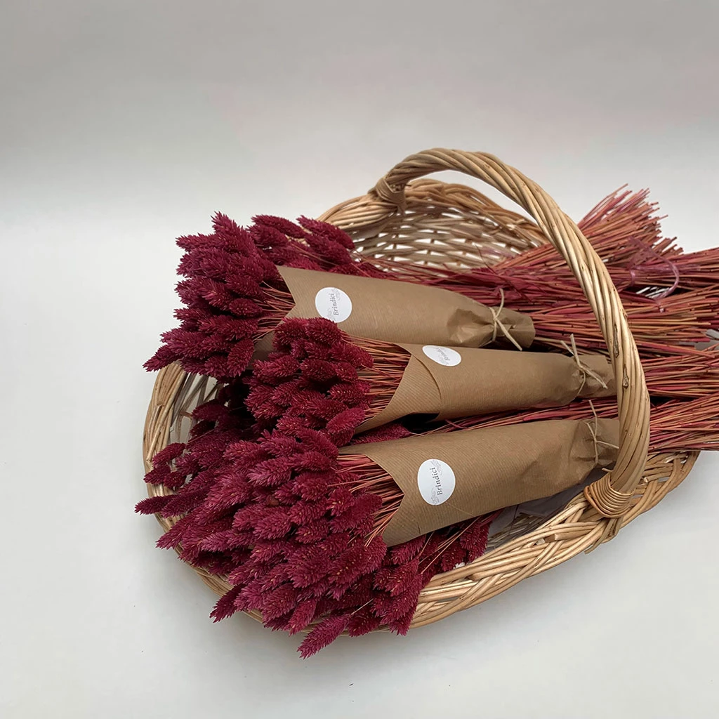 Brindici Bouquet Favière Bordeaux D11xh50cm 2 Brindici Bouquet Favière Bordeaux D11xh50cm – Image 2