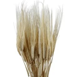 Brindici Bouquet Tregastel Blanche D11xh50cm