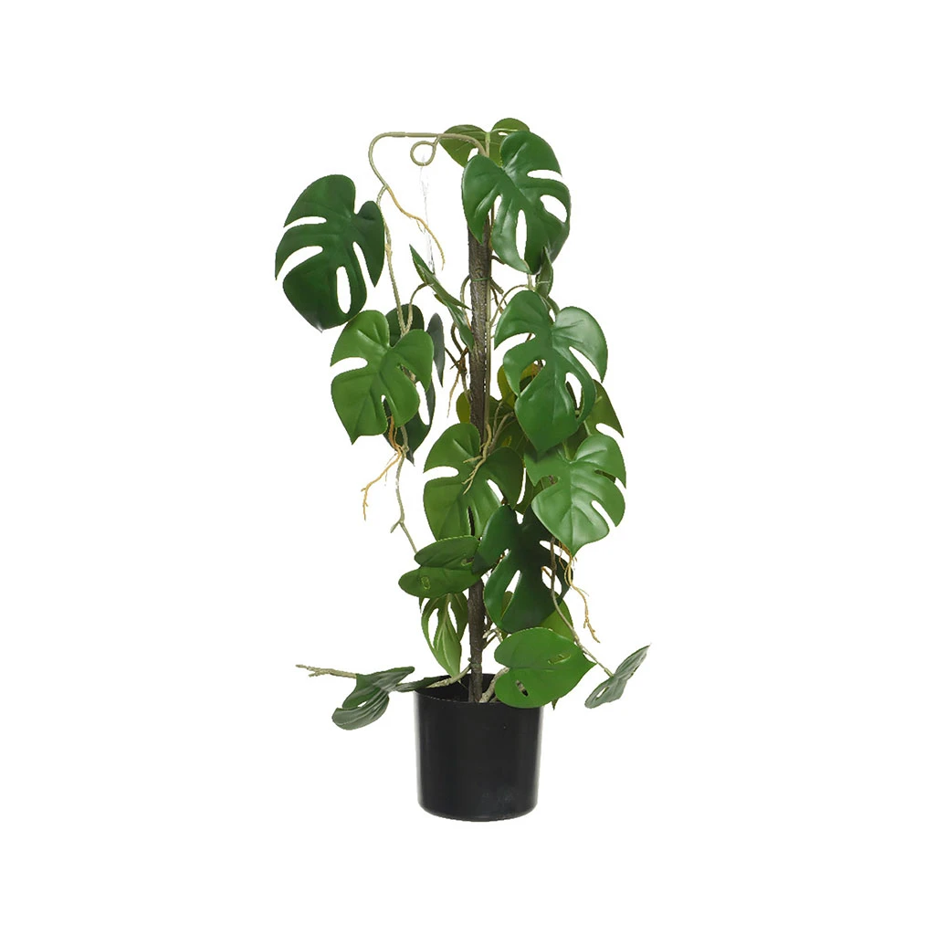 Kaemingk Plante En Pot 20x31xh63.5cm 1 Kaemingk Plante En Pot 20x31xh63.5cm