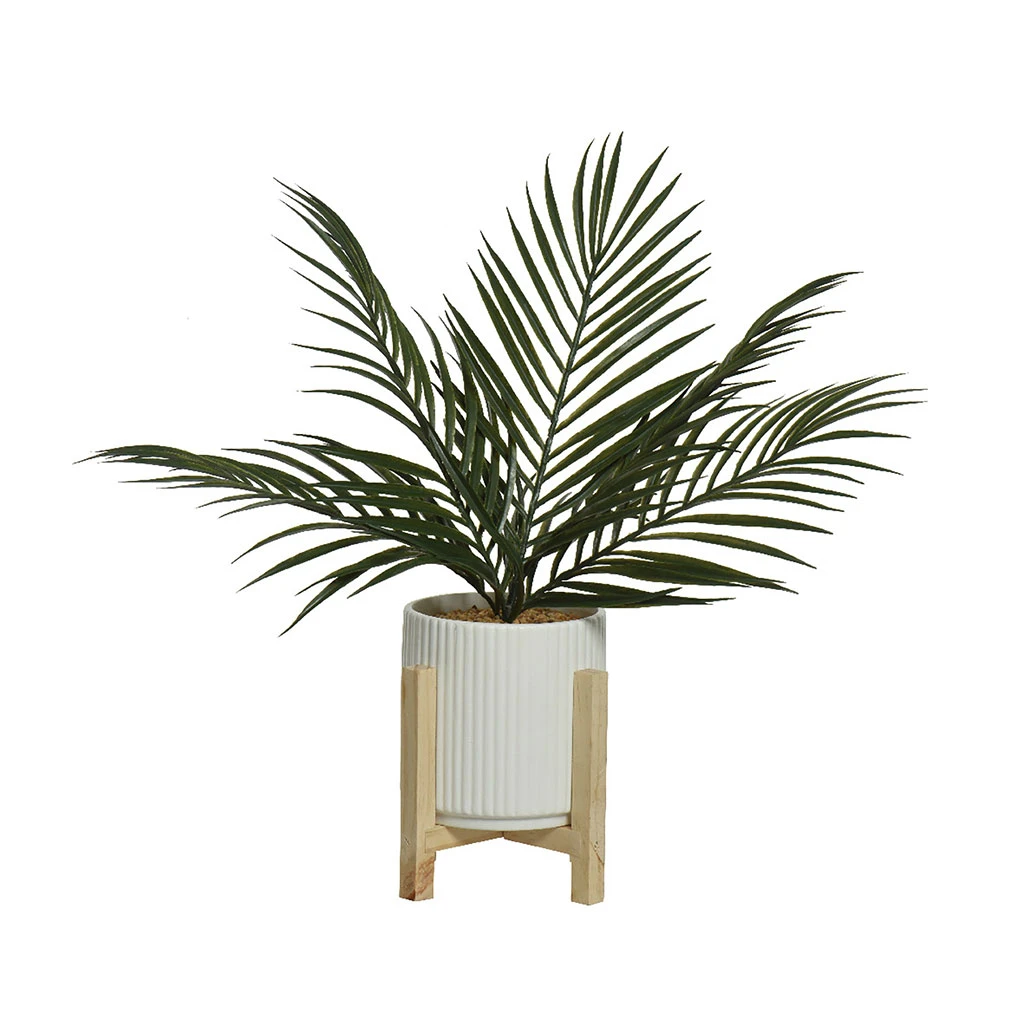 Kaemingk Fougere En Pot Blanc D16xh56cm 1 Kaemingk Fougere En Pot Blanc D16xh56cm