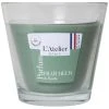 Atelier Denis Bougie Senteur Fraicheur Basilic En Verre - Vert Moyen Modèle 370g