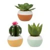 SEMA DESIGN Set 3 Plantes Cactus Aloe Ocre En Plastique, Papier