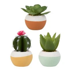 SEMA DESIGN Set 3 Plantes Cactus Aloe Ocre En Plastique, Papier