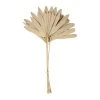 SEMA DESIGN Branchage Palmier Naturel X3