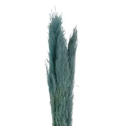 SEMA DESIGN Fleur Pampas X3 Emeraude H160cm Vegetal -SEMA DESIGN Boutique 75590 DET02 WEB
