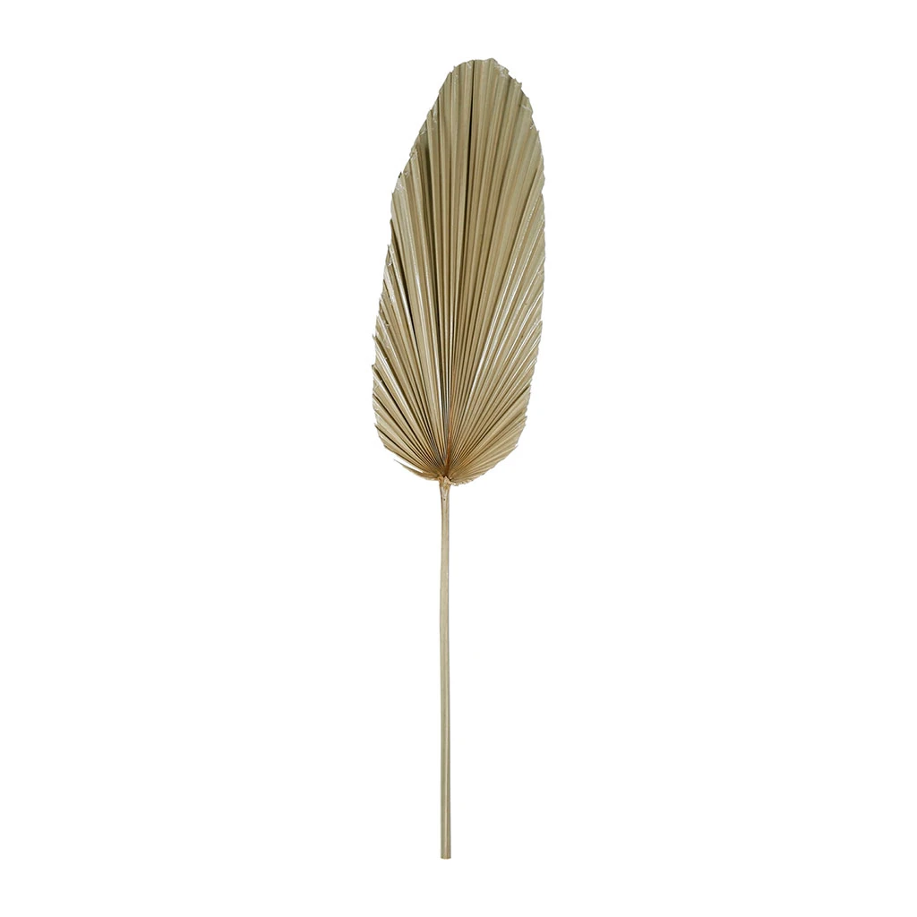 SEMA DESIGN Branchage Palmier Naturel 20xh100cm Feuille De Palmier 1 SEMA DESIGN Branchage Palmier Naturel 20xh100cm Feuille De Palmier