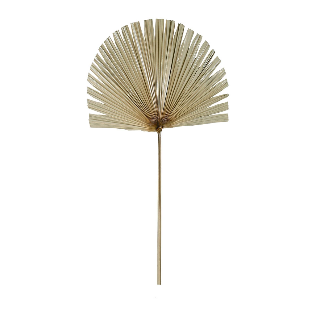 SEMA DESIGN Branchage Palmier Naturel 50xh96cm Feuille De Palmier 1 SEMA DESIGN Branchage Palmier Naturel 50xh96cm Feuille De Palmier