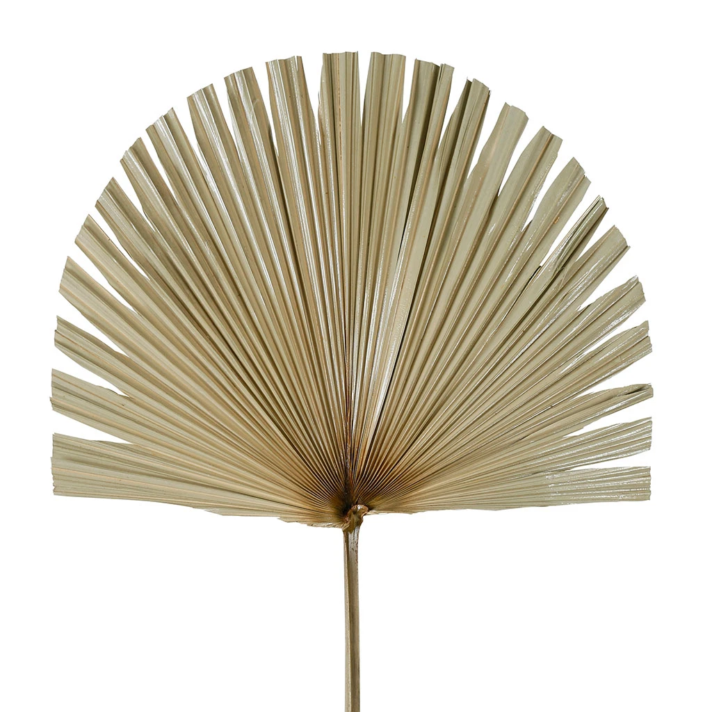SEMA DESIGN Branchage Palmier Naturel 50xh96cm Feuille De Palmier 2 SEMA DESIGN Branchage Palmier Naturel 50xh96cm Feuille De Palmier – Image 2